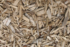 biomass boilers Cushuish