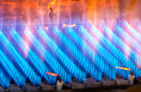 Cushuish gas fired boilers